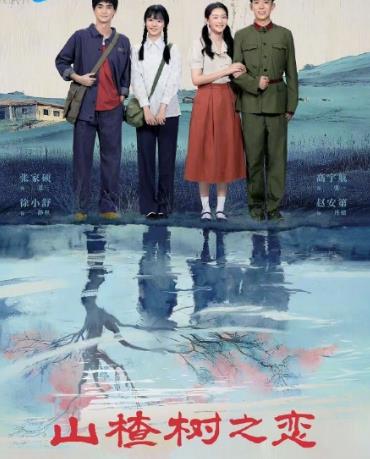 山楂树之恋2025 第07集