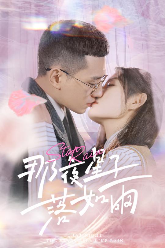 那夜星子落如雨 第29集