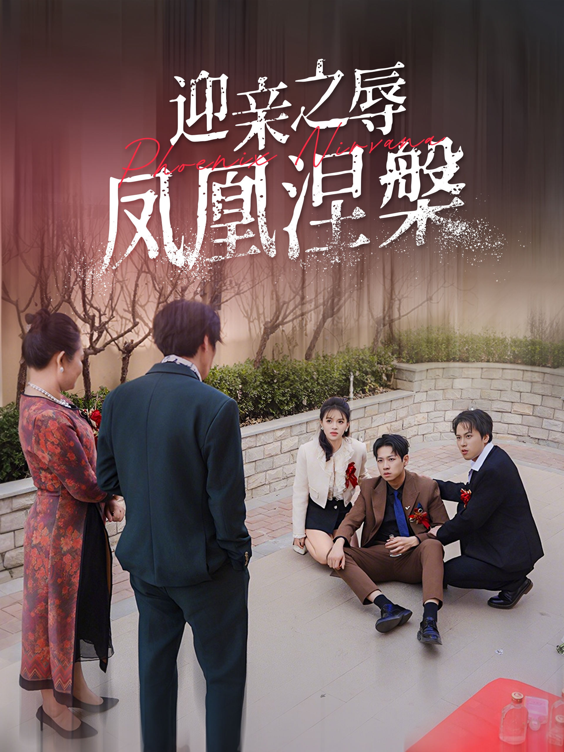 迎亲之辱凤凰涅槃 第17集